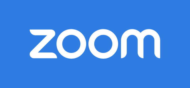 logo zoom